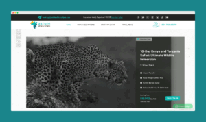 astute africa website design