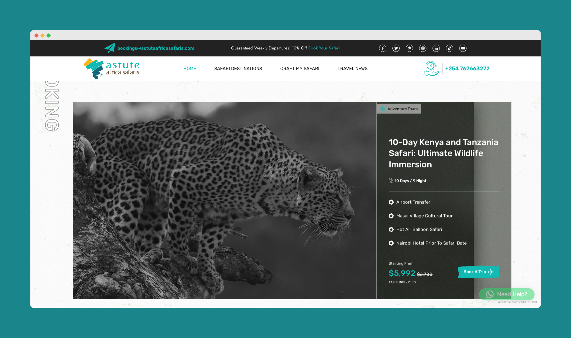astute africa website design