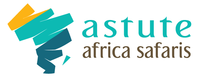 Astute africa website design Kenya Astute africa website design Kenya